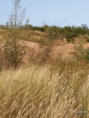 【帶著手機(jī)去撒歡兒】出門游玩