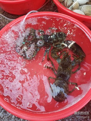 帶著手機去撒歡兒+廈門的海鮮還有小吃，很好吃！