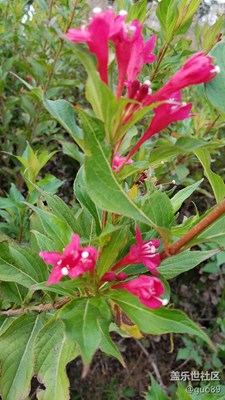 國慶已經(jīng)接近聞聲