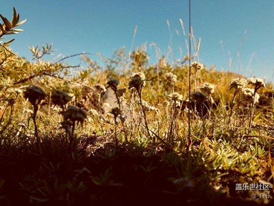 【帶著手機去撒歡兒】從你的全世界路過