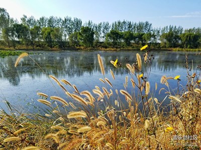 【帶著手機(jī)去撒歡兒】陽光暖暖，去稻田里看孫悟空三打白骨精