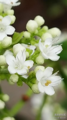 【帶著手機(jī)去撒歡兒】+秋天的靜