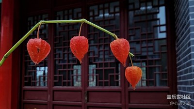 【帶著手機(jī)去撒歡兒】鐵剎山尋秋