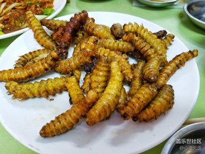 【帶著手機(jī)去撒歡兒】丹東印象