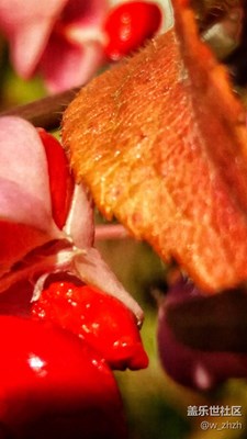 規(guī)矩是用來(lái)破的，經(jīng)驗(yàn)是從創(chuàng)新發(fā)展來(lái)的。