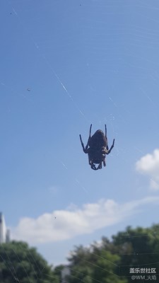 春13娘，開飯啦