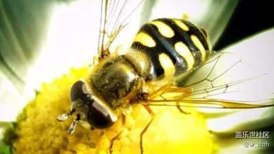 版主一表揚我就中午采風(fēng)忙。