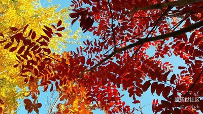 物質(zhì)、精神食量雙豐收