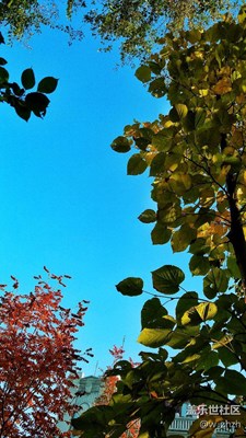 景色可以欣賞，但不可復(fù)制。手機可以升級，但技術(shù)只能苦練。