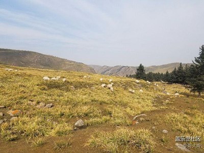 祁連山原生態(tài)牧場(chǎng)