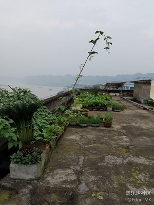 無(wú)題
