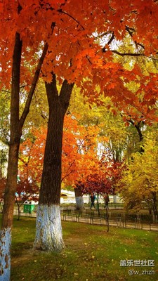 挑戰(zhàn)立版，不理想。