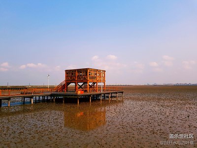 紅海灘里的泥地風(fēng)情——巧克力的誘惑