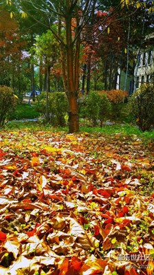 換個(gè)角度就出彩！