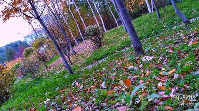 放膽這樣拍，笑不笑由你。????