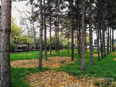 和諧的樂(lè)章