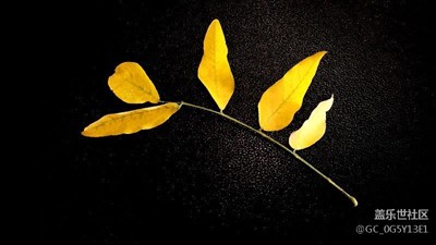 別樣的秋
