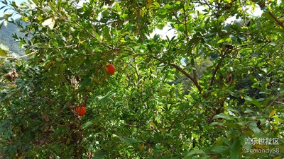 【一葉知秋】+十堰+小山村的秋天