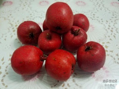 紅果~山楂