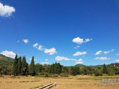 看了大家的分享，我也來(lái)發(fā)幾張