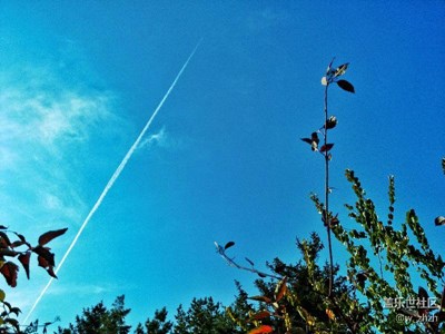 【一葉知秋】+哈爾濱+秋日傳奇