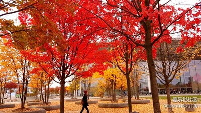 用S7e帶你看世界，德奧小鎮(zhèn)的秋色