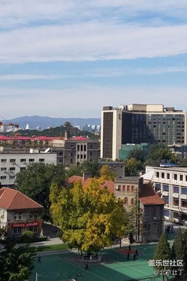 操場中間有顆樹