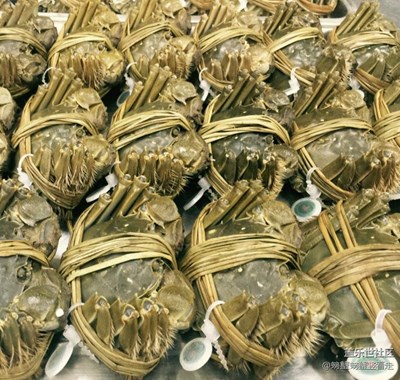 排隊(duì)等死……