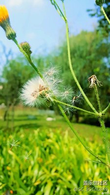 NOTE5，記錄生活的每一刻~~