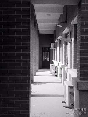 【拍吧攝影周賽第十七期】黑白影像