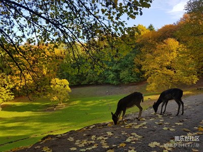 用S7e帶你看世界，秋天的童話