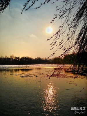 初冬美景賽金秋