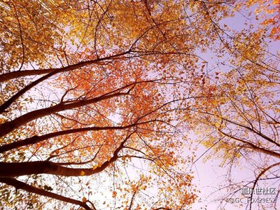 S7edge相機(jī)秒殺水果