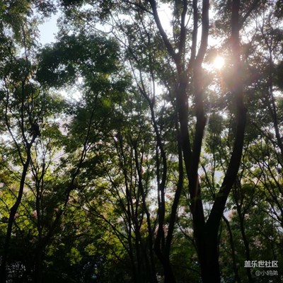 2016線下活動(dòng)，上海站。