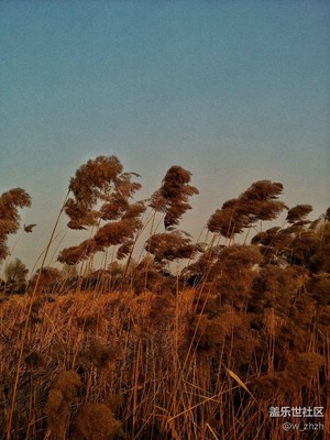 拍你沒商量！