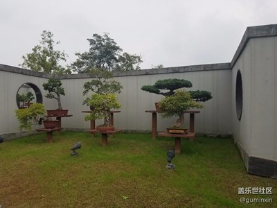 揚(yáng)州瘦西湖盆景展