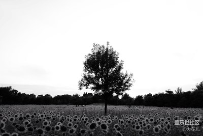 【黑白影像】+北京+極簡