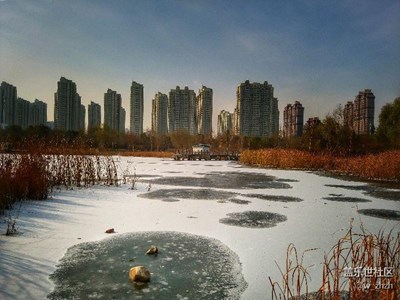 我的作業(yè)，敬請大家批改。