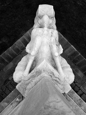 【黑白影像】+北京+天壇+五十度灰