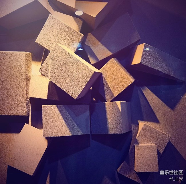 【攝影】日常隨拍，藝術(shù)之花