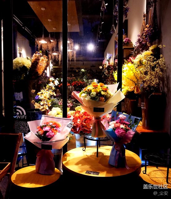 【攝影】日常隨拍，藝術(shù)之花