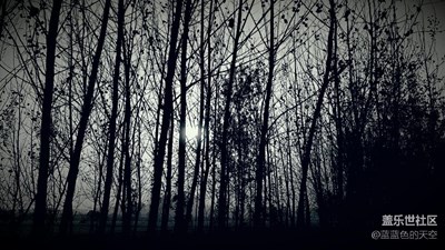 【黑白影像】+周口+冬天到了