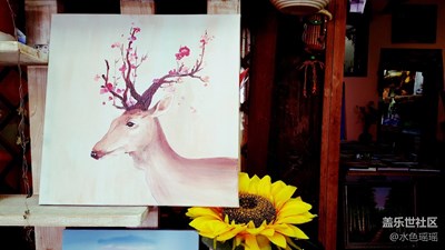 色彩，文藝，小資的小民宿