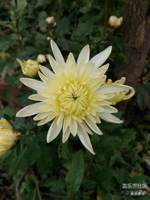 【On7體驗(yàn)】清新自如 有我On7 【On7體驗(yàn)】清新自如 有我On7