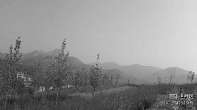 初冬，有冷意，亦有暖陽，有山如水墨，亦有紅葉如血