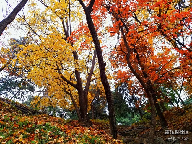 每周精帖匯【第30期：S7 edge粉藍不降溫 7.0初體驗來襲！】