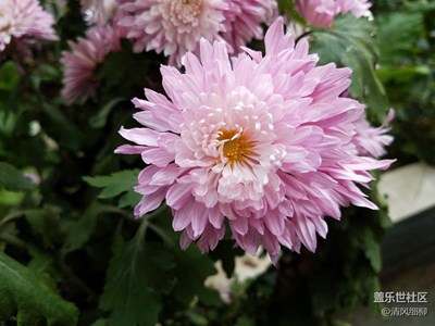 再發(fā)手機原圖看有沒有信息？