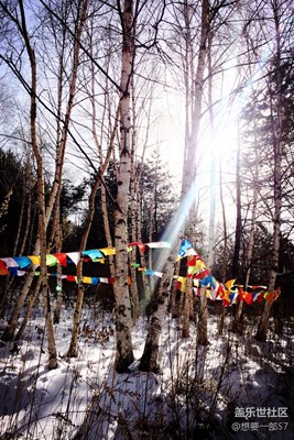 【原創(chuàng)】雪域信仰