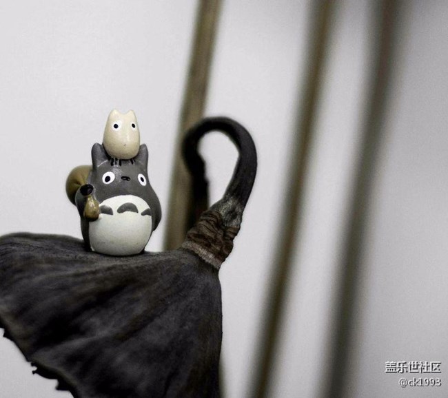 蓋樂世社區(qū)翻頁很長(zhǎng)之后，按返回鍵立馬跑到第一條信息