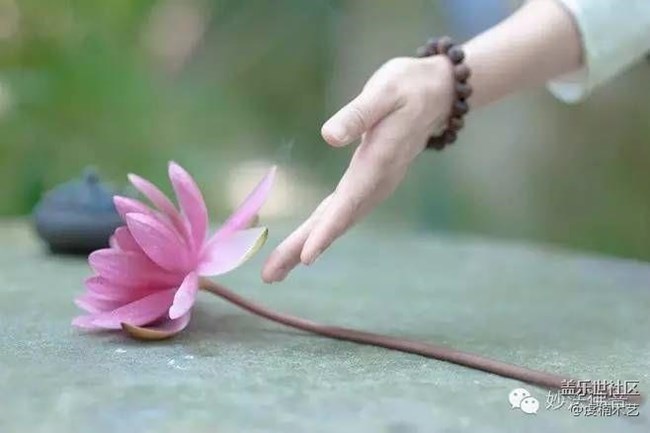 愛·分享--別丟了幸福